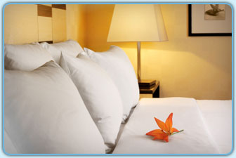 hospitality pillows